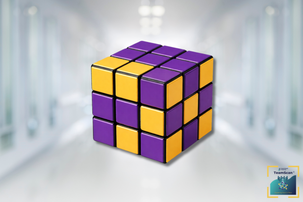 Rubik&rsquo;s Cube metaphor illustrating the complexity of team dynamics and alignmen